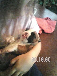Brady