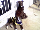Brandi and her playmate