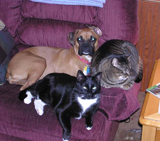 Brandi and her posse