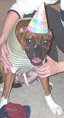 Brandie at Rocky's birthday