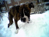 Brandi's First Snow