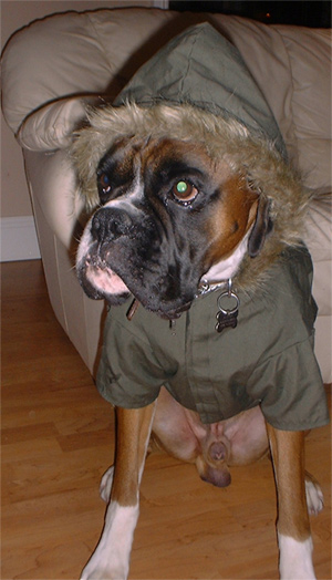 brando-in-his-parka