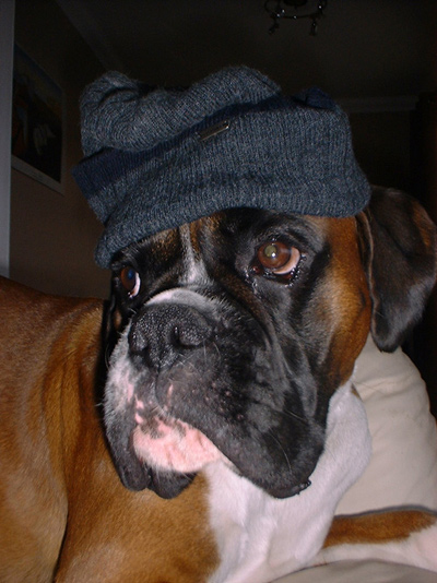 Brando in his wooly hat