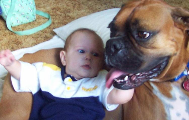 Brandon & Buddy