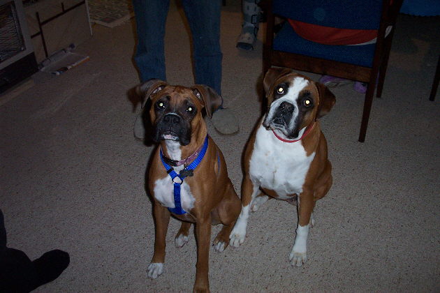 brandy and aunty ruby