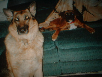 Brandy and CInnamon