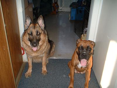 Brandy and Cinnamon