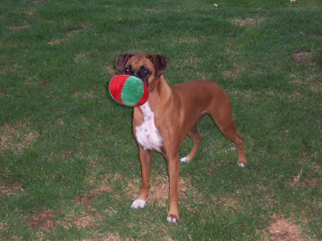 Brandy March 2005