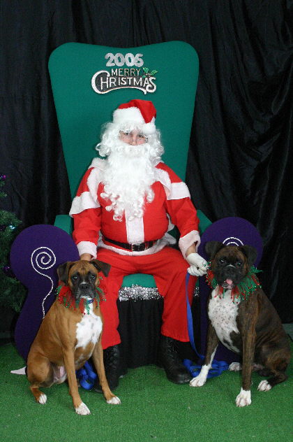 brandy & tigger's santa photo 2006