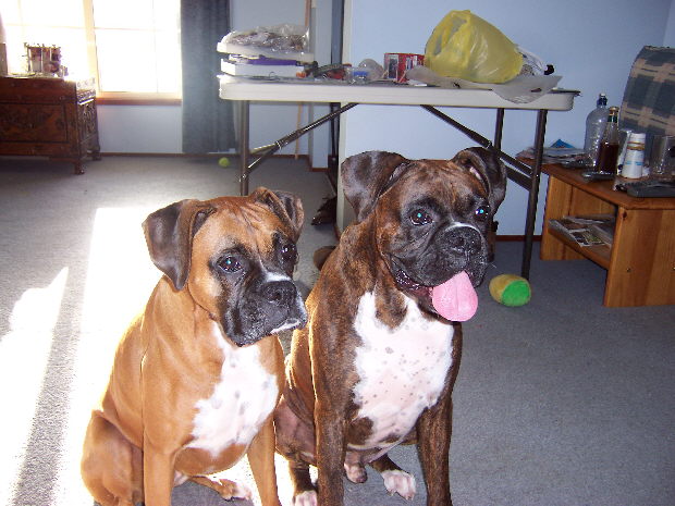 brandy's 3rd birthday