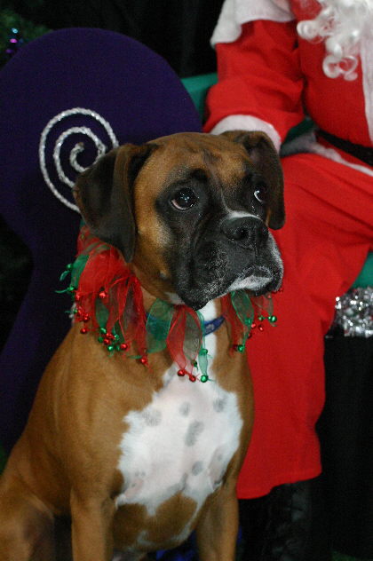 brandys xmas photo 2006