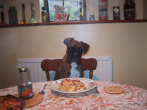 Breakfast Time!