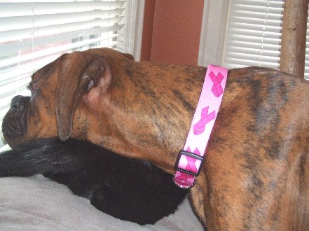Breast Cancer Collar