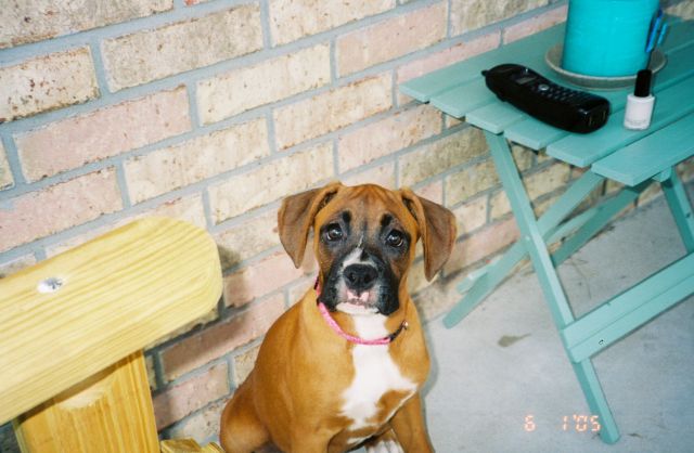 Breezie girl