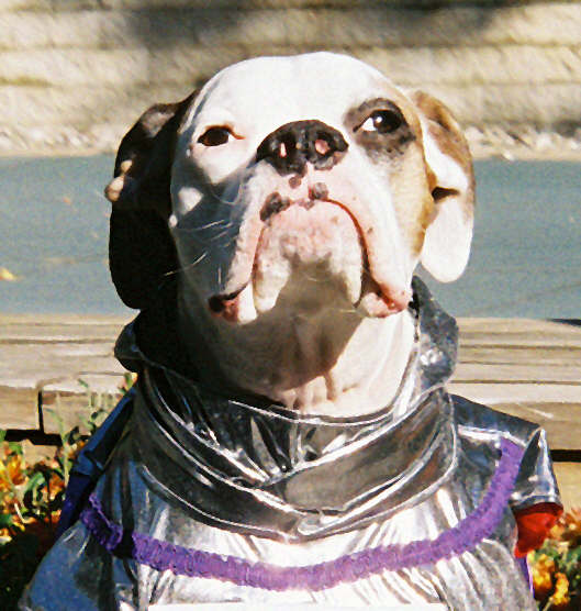 Brewy Close-up Halloween '05