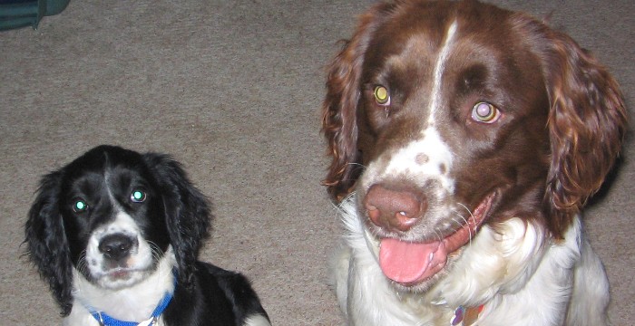 Briar and Nellie