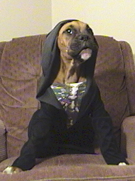 Bridget halloween 2005