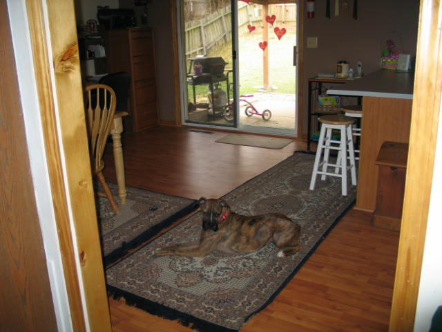 Bridget Lounges