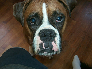 Brinx Up Close