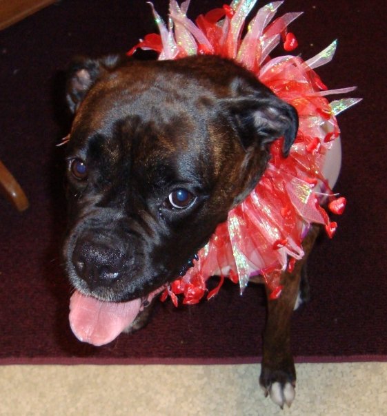 Briseis 4th Bday