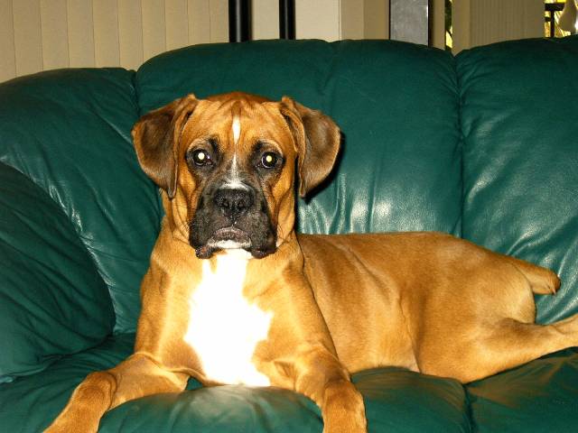 Brody Chillin'