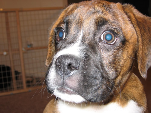 Brody - I'm ready for my close up!