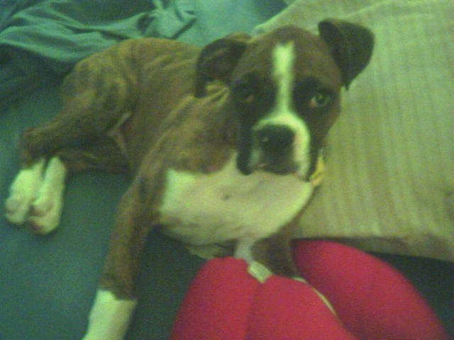 brody7