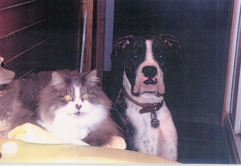 Bron & Tabatha