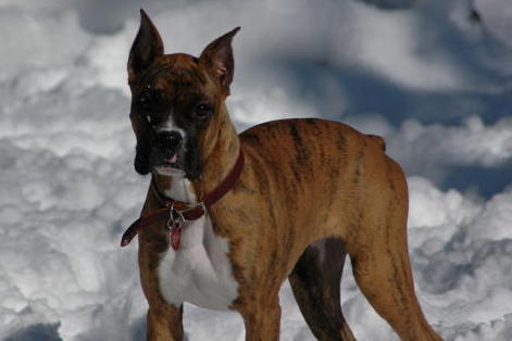Brooke meets the snow!