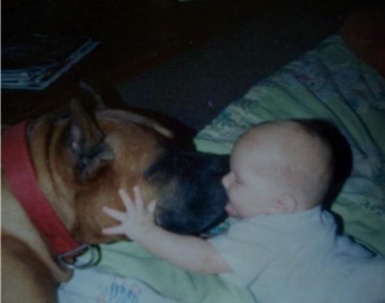Brooster and Brogan