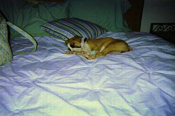 brooxy sleeping