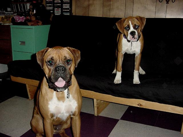 Brother and little sister