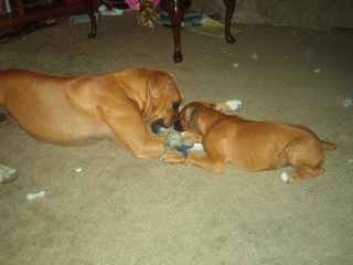 Brother and Sister