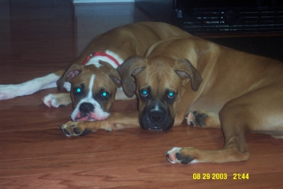 brotherly love