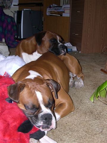 Brotherly Love