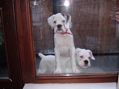brotherly love!