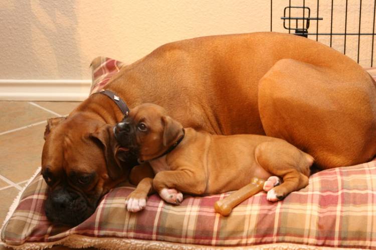 Brotherly Love