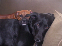 Brotherly Love!