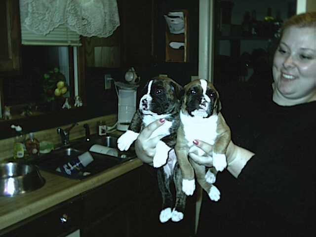 Brothers in Arms