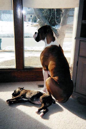 Brothers