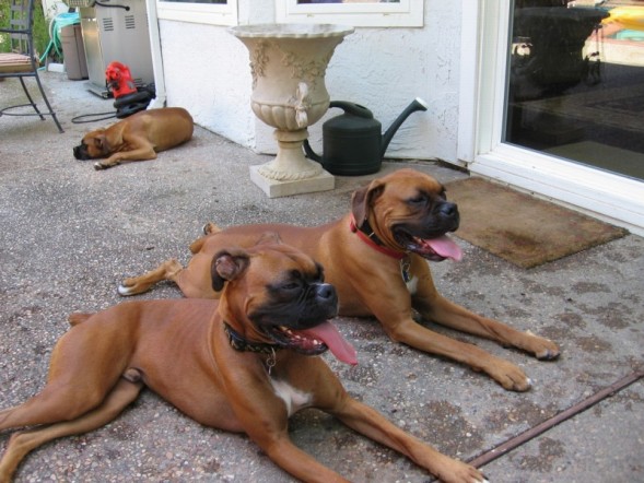 Brothers