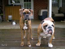 brothers