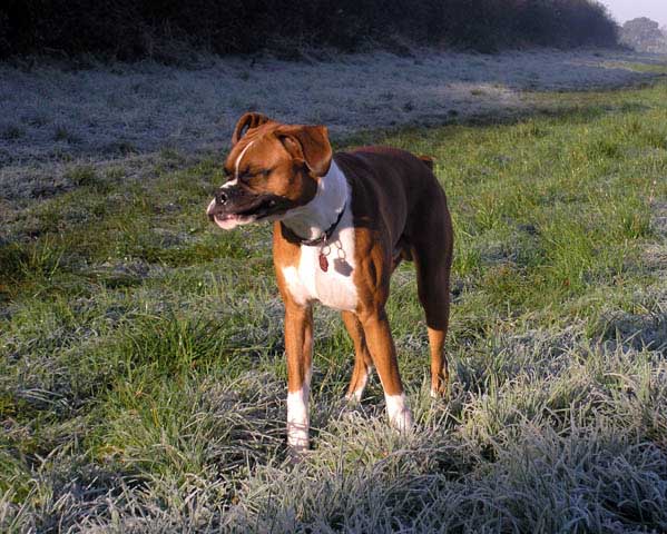 Brrrrr - I'm cold