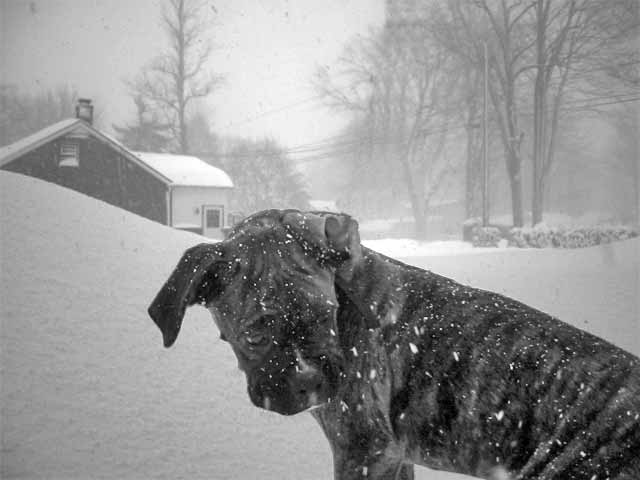 Brrrrrrrrr...