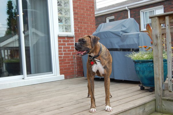 Bruce1