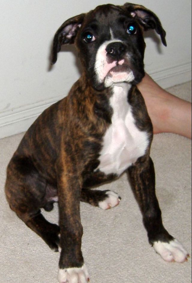 Bruce10wks
