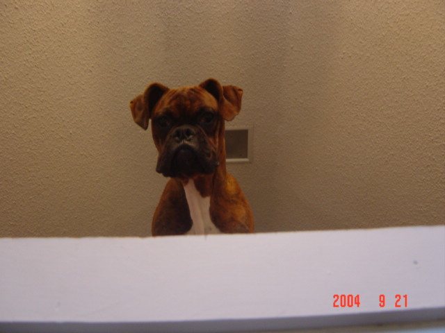 Brudus..didya hear sumpthin??