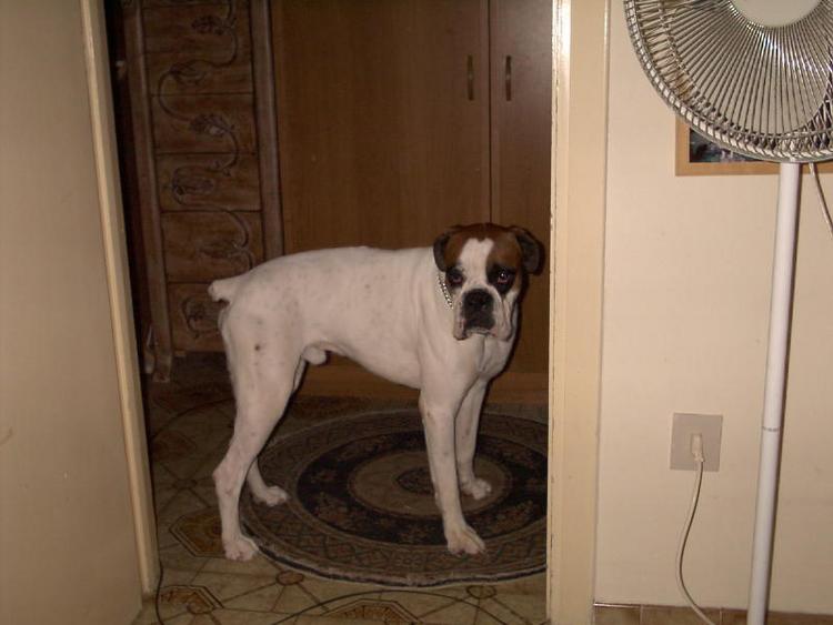 Bruno just checking things out