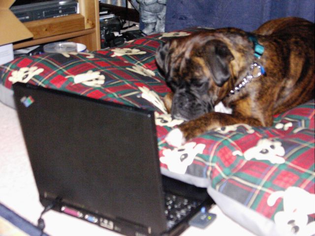 Bruno on his laptop