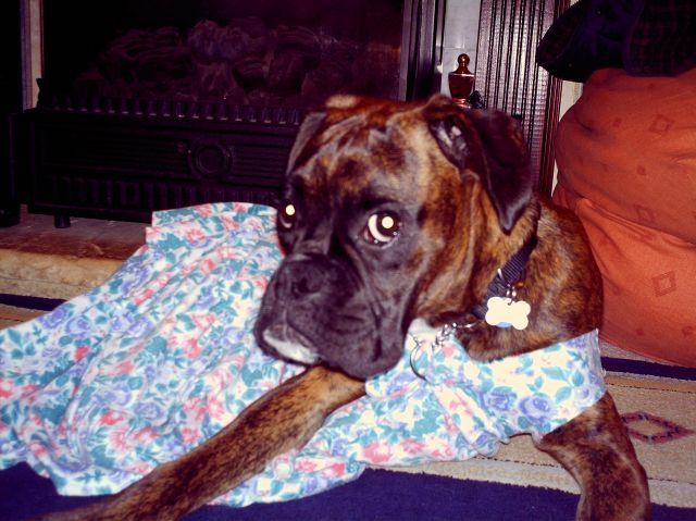Bruno